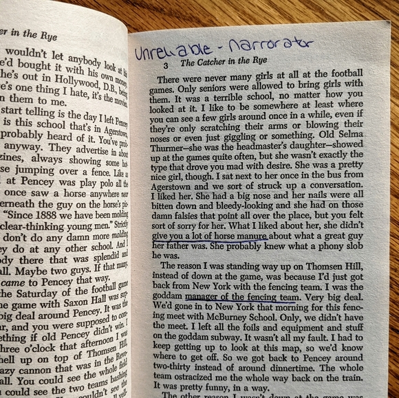 Catcher In The Rye Book - Picture 3 of 4